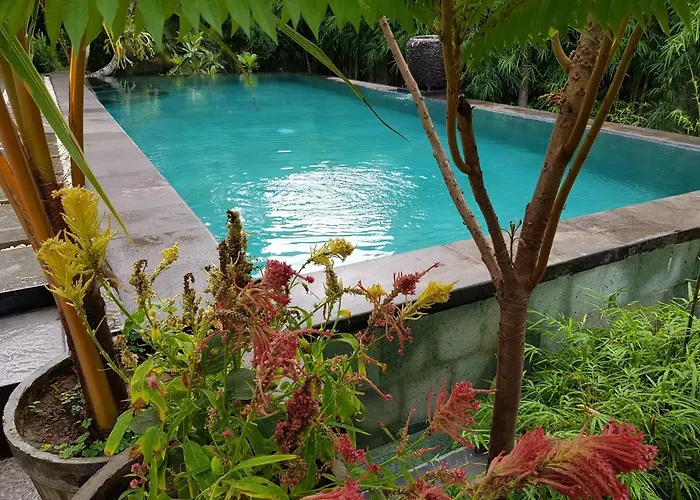 Villa Horizon *